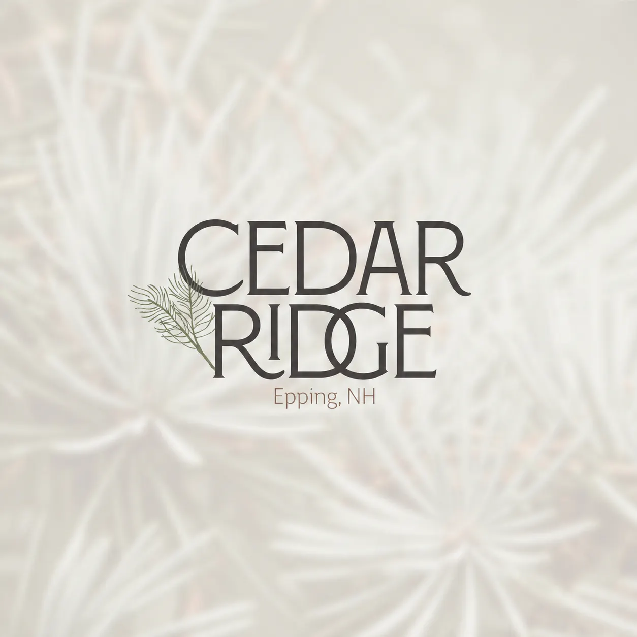 Coming Soon: Discover More Room to Live at Cedar Ridge in Epping, NH